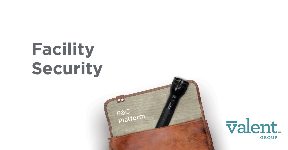 Facility Security Risk Consulting Valent Group